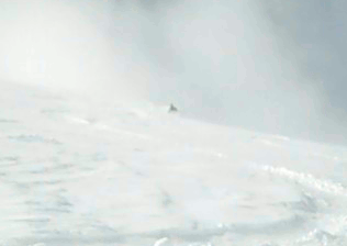 Colorado Powder Day